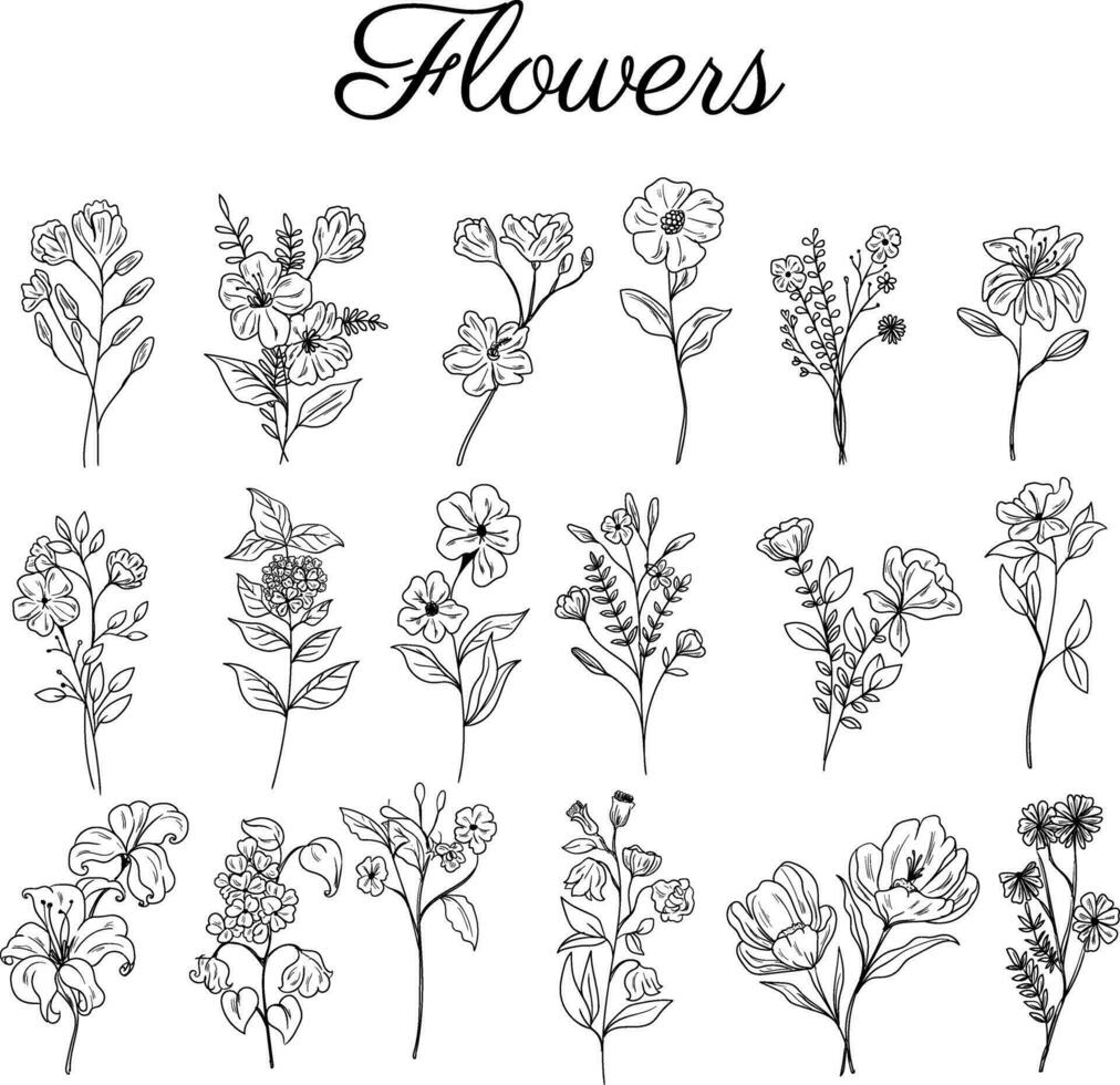 Hand gezeichnet Blumen- Illustration wild Blume Linie Kunst vektor