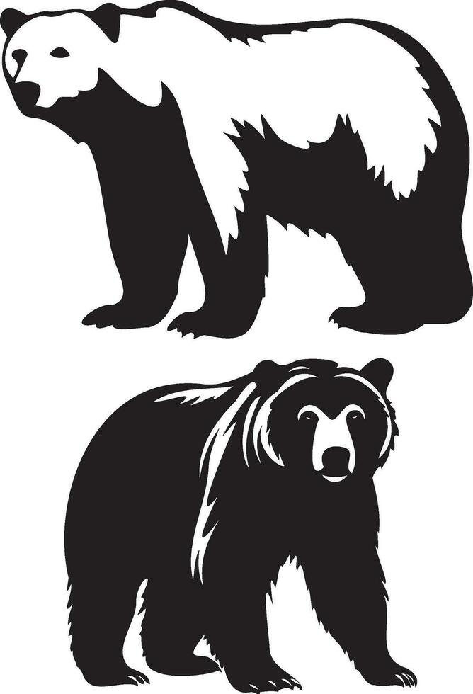 illustration av en Björn vild djur- vektor