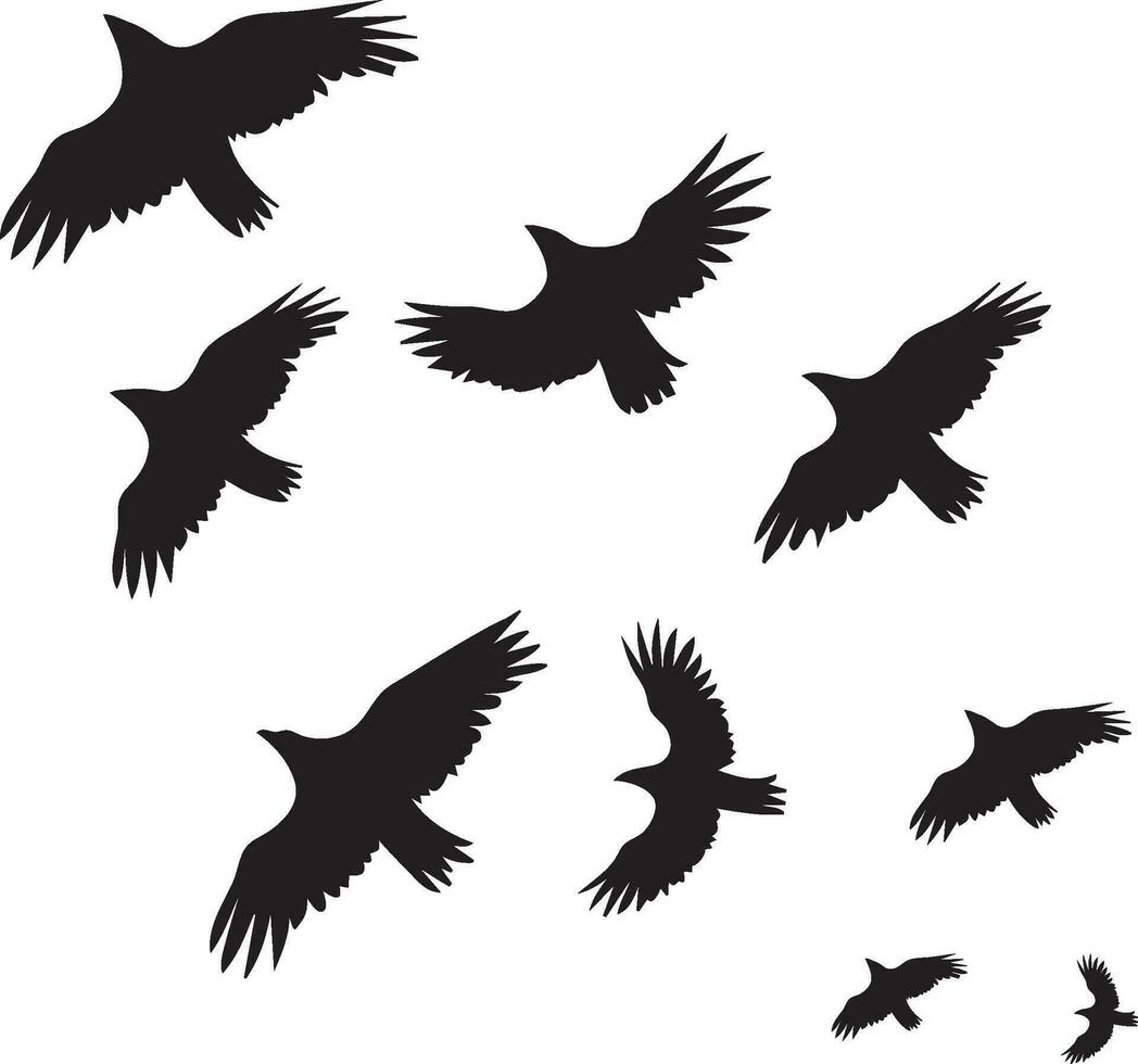 silhuetter av fåglar flygande i grupp vektor