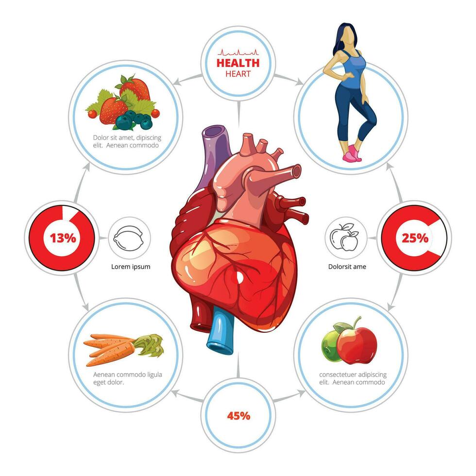 gesund Herz. richtig Ernährung. Gemüse und Früchte. Sport. Gewicht Kontrolle. Nein Rauchen. Infografiken. Illustration auf isoliert Hintergrund vektor