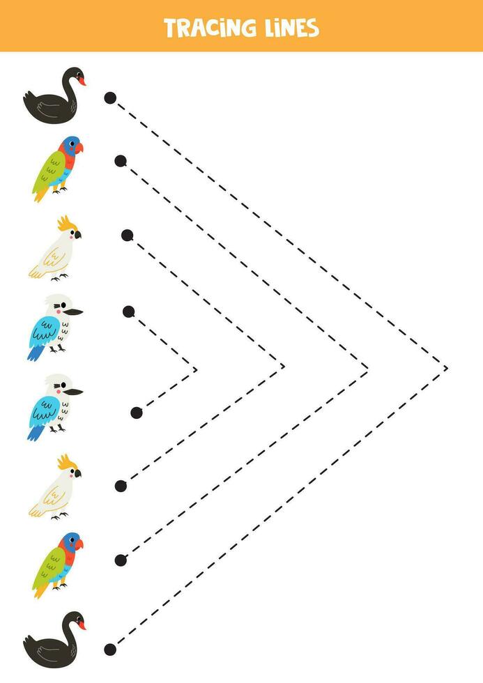 Rückverfolgung Linien zum Kinder. australisch Vögel. Handschrift ausüben. vektor