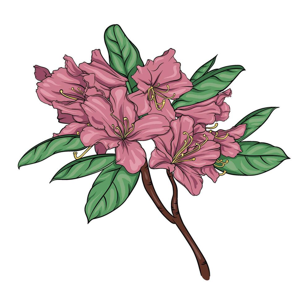 Blühen Rhododendron Ast mit Blumen und Blätter. Vektor Illustration