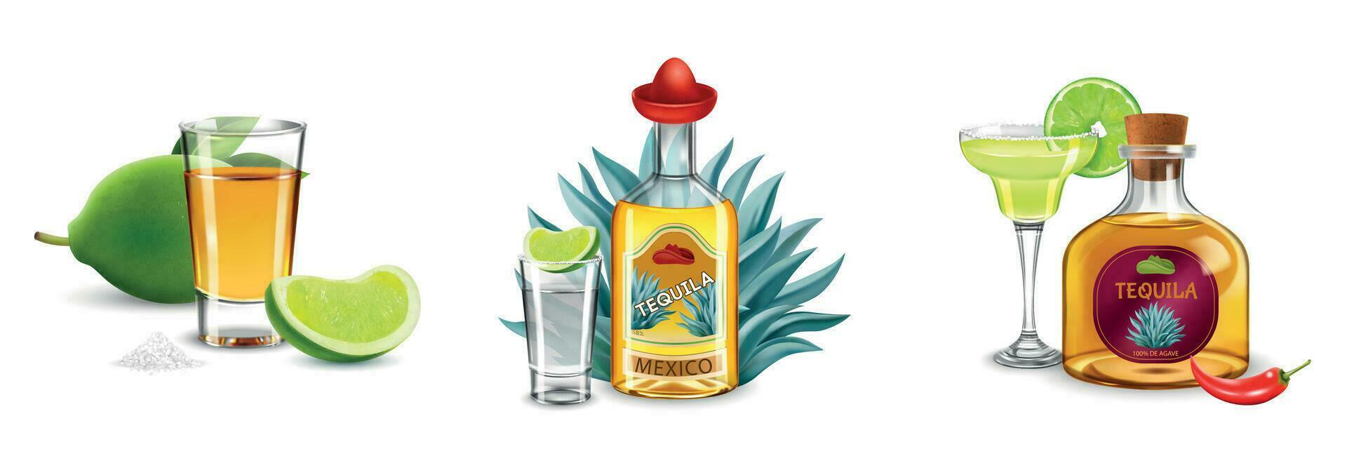Tequila realistisch Kompositionen vektor