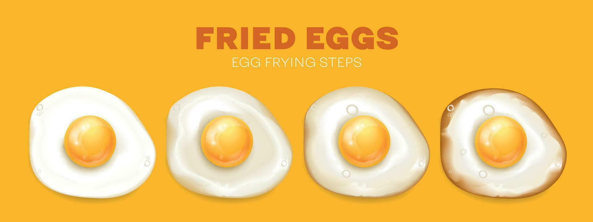 friterad ägg stadier vektor