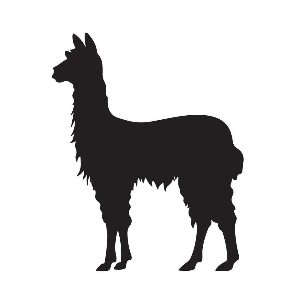 Lama Silhouette Vektor