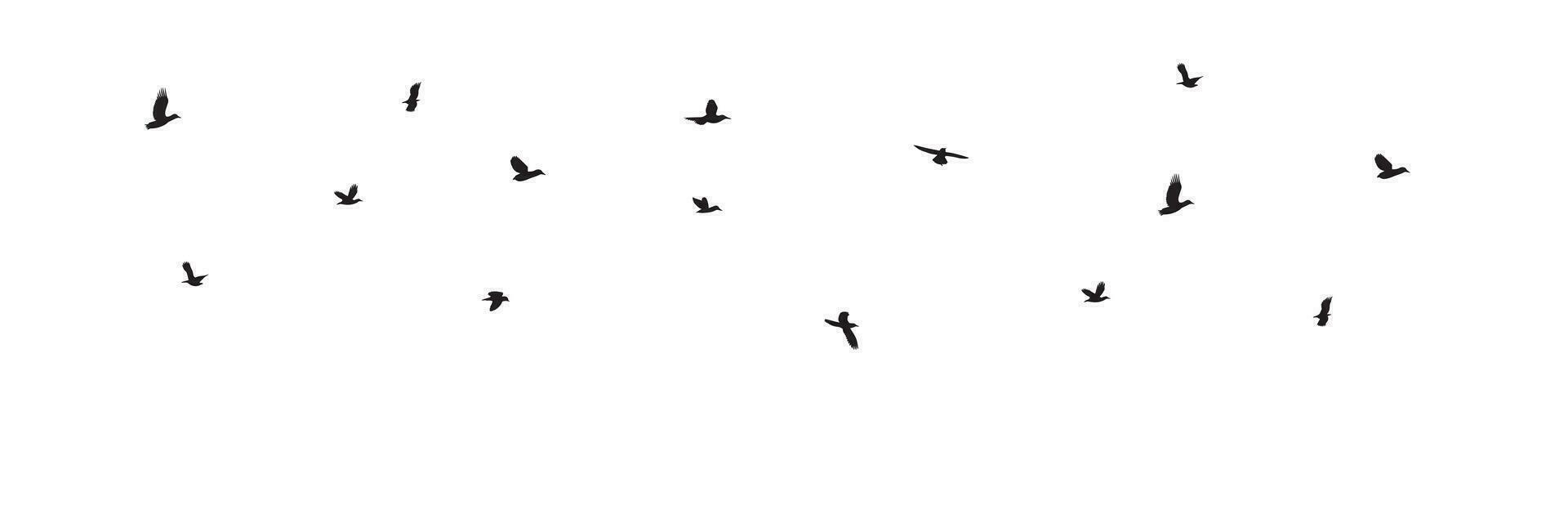 Silhouette fliegend Vögel im Himmel. Vektor Illustration.