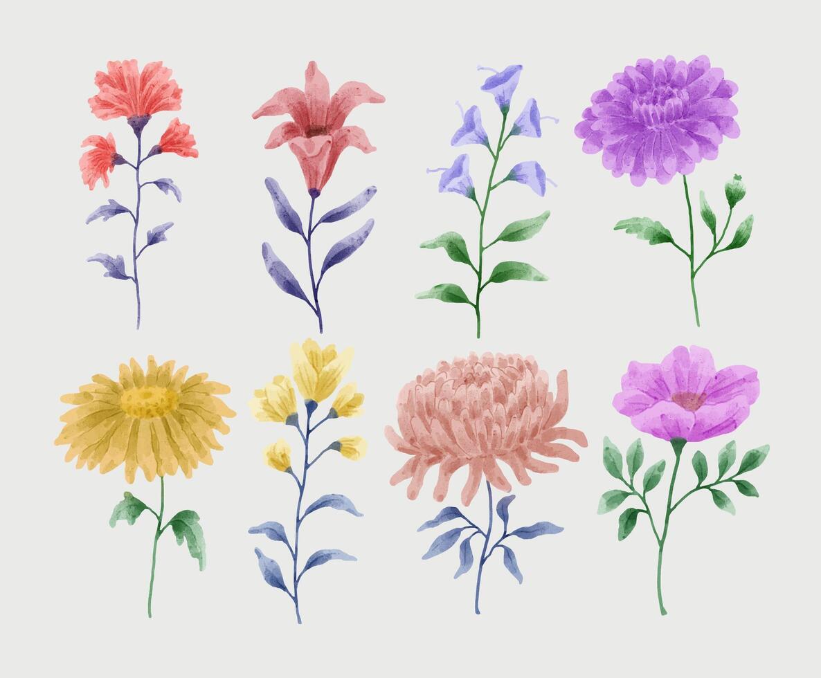 eine Reihe von Blumen in Aquarell für verschiedene Karten und Grußkarten gemalt. vektor