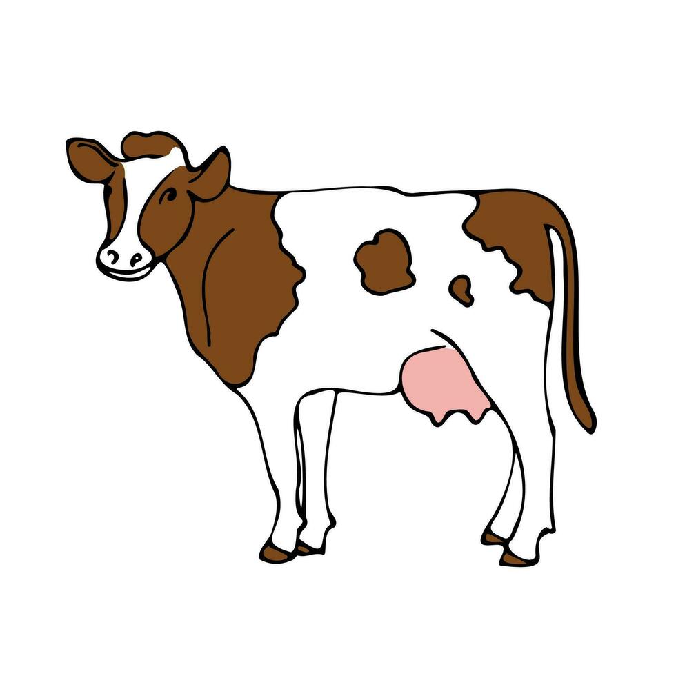 Haustier Kuh auf ein Weiß Hintergrund. Vektor Illustration im Karikatur Stil.