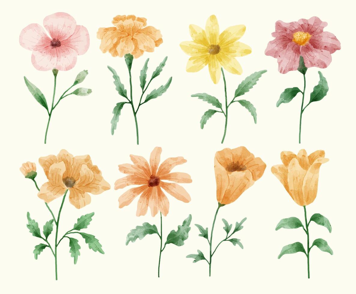 eine Reihe von Blumen in Aquarell für verschiedene Karten und Grußkarten gemalt. vektor