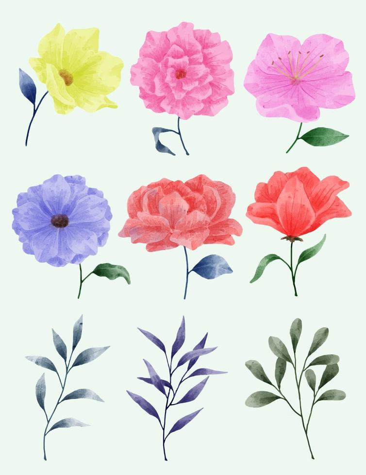 en uppsättning blommor målade i akvarell för olika kort och gratulationskort. vektor