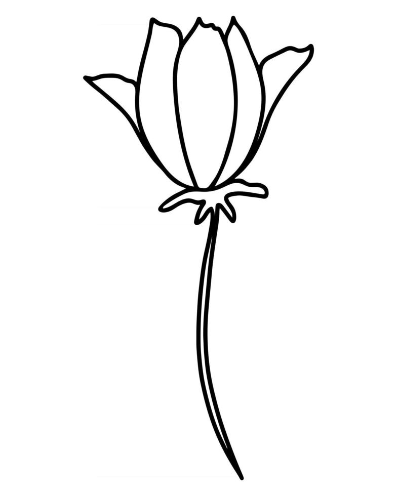 einzelne Blume Handzeichnung Vektor-Illustration vektor