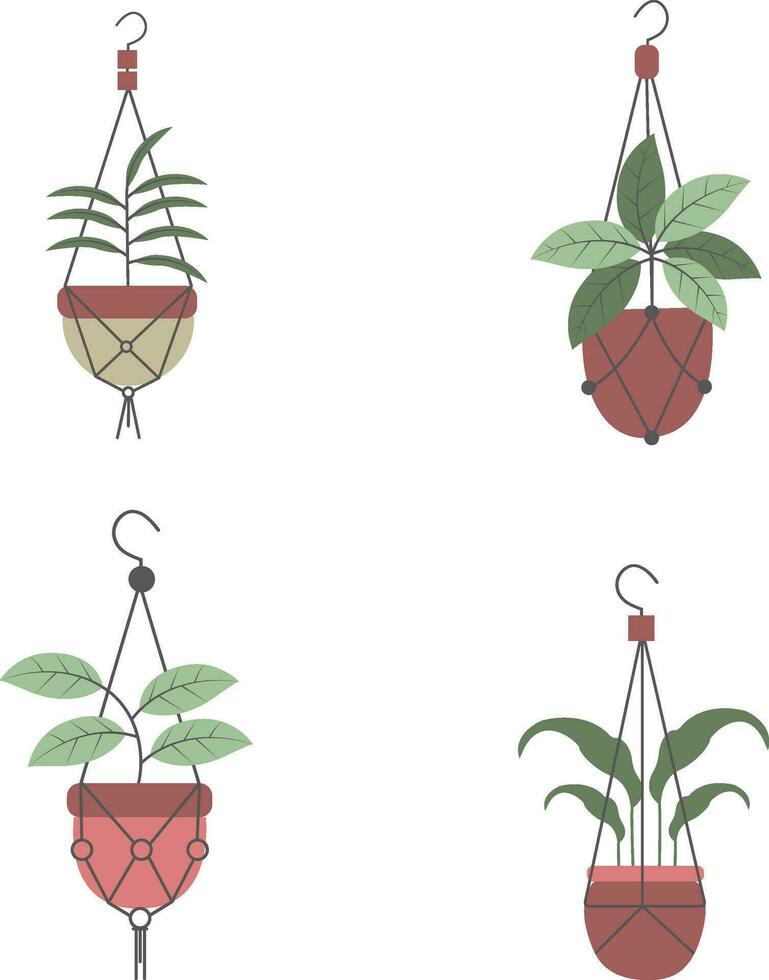 hängande växt illustration uppsättning. isolerat på vit bakgrund. vektor