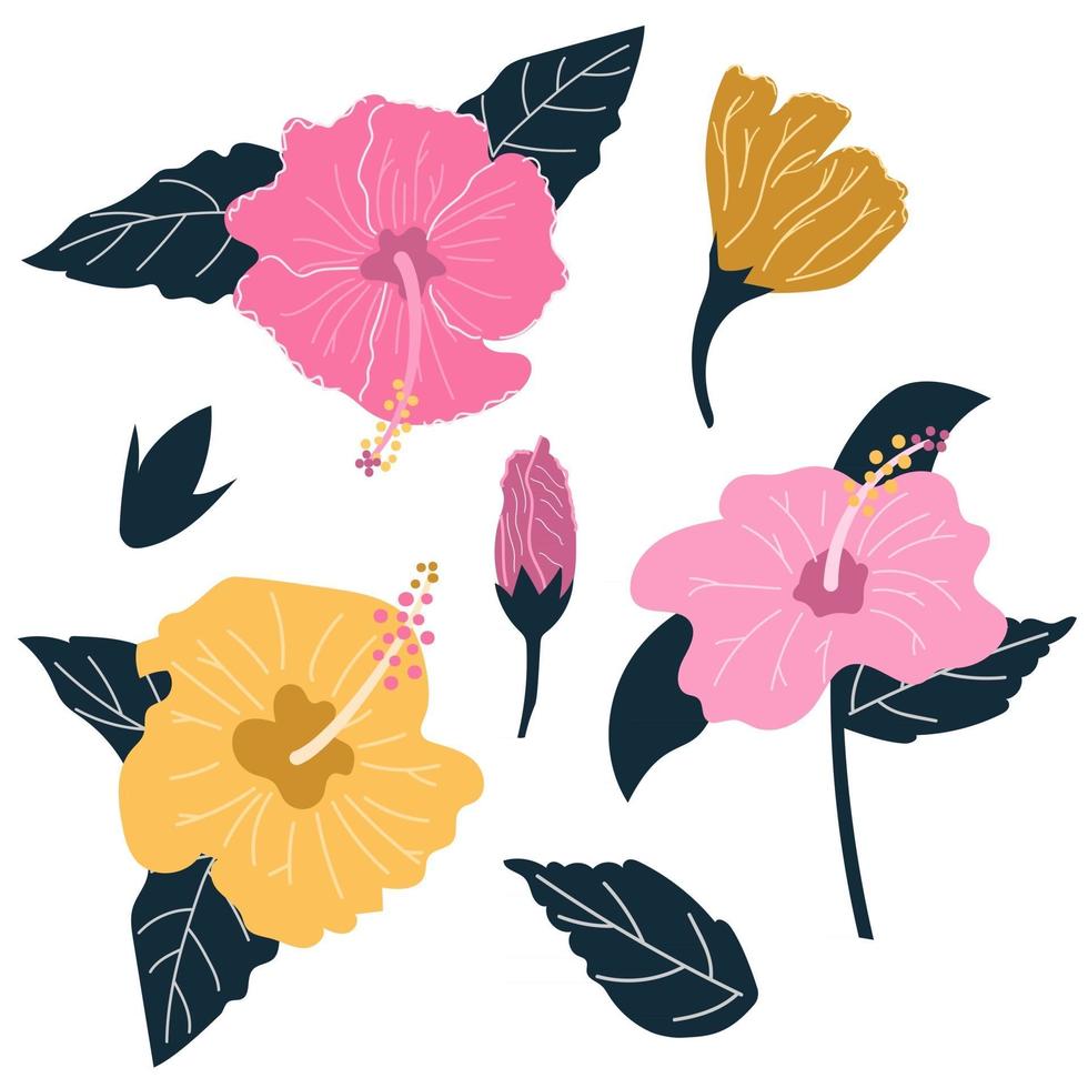 uppsättning handritad hibiskusblomma med blad. exotiska tropiska blommor koncept. platt illustration. vektor