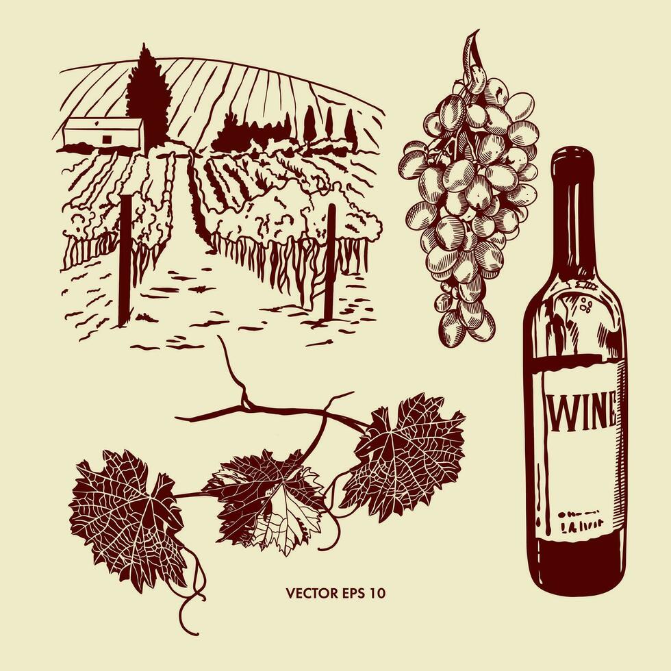 Flasche von rot Wein, Weinrebe, Blätter, Weinberge. Vektor Illustration im Grafik Stil. Design Element zum Menüs, Wein Listen, Etiketten, Banner, Flyer.