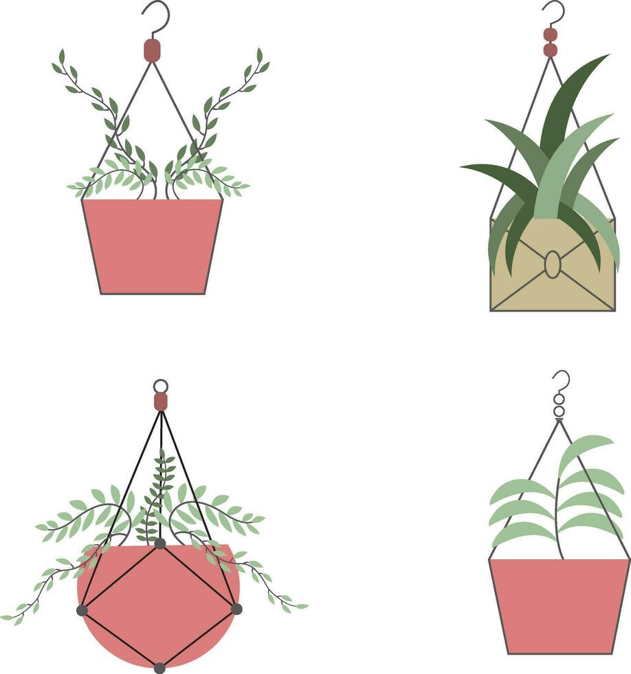hängend Pflanze Illustration Satz. isoliert auf Weiß Hintergrund. vektor