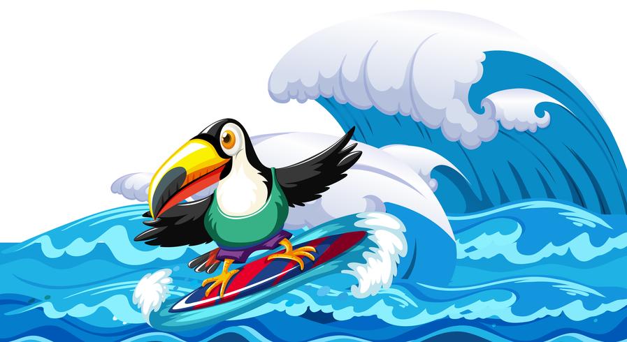 Toucan Surfen große Welle vektor