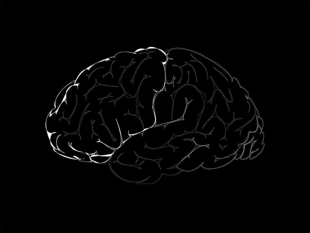 hjärna skiss ikon isolerat över svart bakgrund, mänsklig hjärna vektor illustration