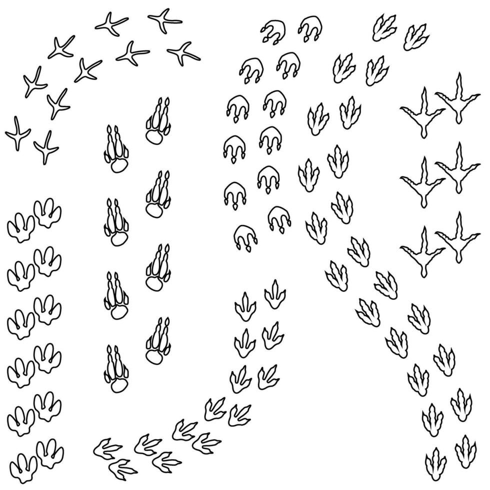 Dinosaurier Fußabdrücke Symbol Vektor Satz. Dinosaurier Spuren Illustration Zeichen Sammlung. Tiere Fußabdrücke Symbol. Tiere Spuren Logo.