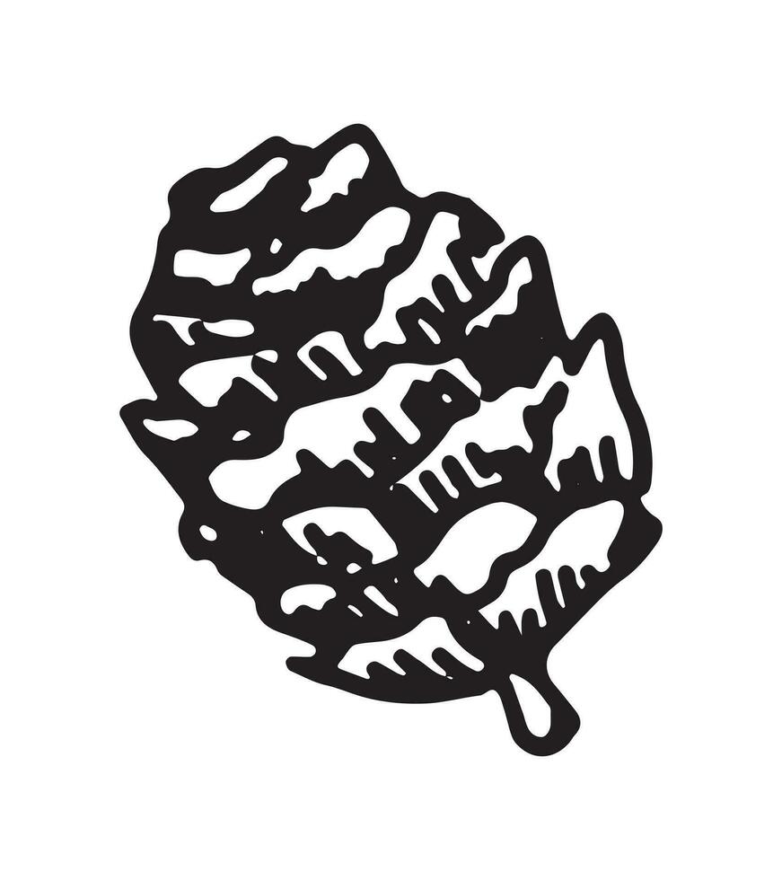 Gliederung Clip Art von Kiefer Kegel. Gekritzel von Herbst Wald Ernte. Hand gezeichnet Vektor Illustration isoliert auf Weiß Hintergrund.