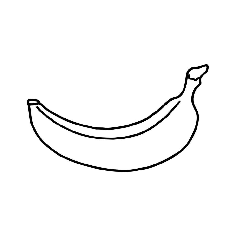 Obst Gekritzel Banane. frisch, gesund, tropisch Lebensmittel. Hand gezeichnet Illustration. vektor