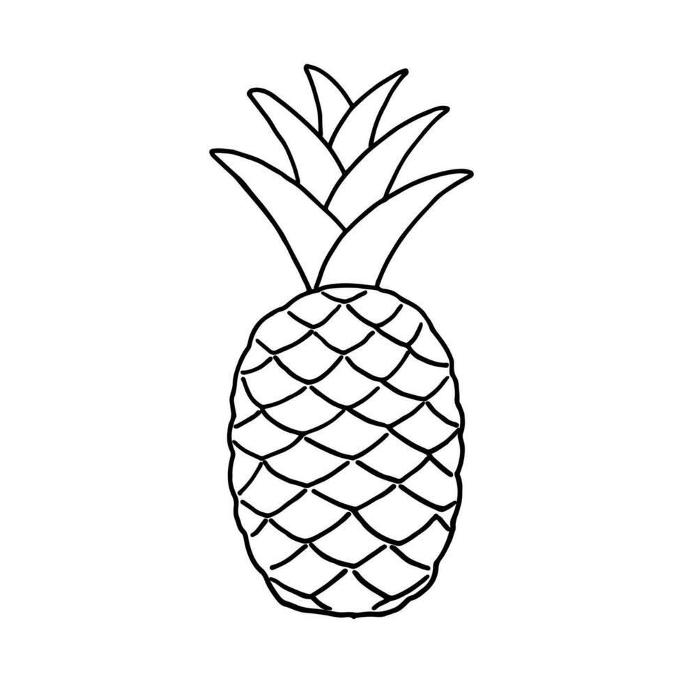 frukt klotter ananas. färsk, friska, tropisk mat. hand dragen illustration. vektor