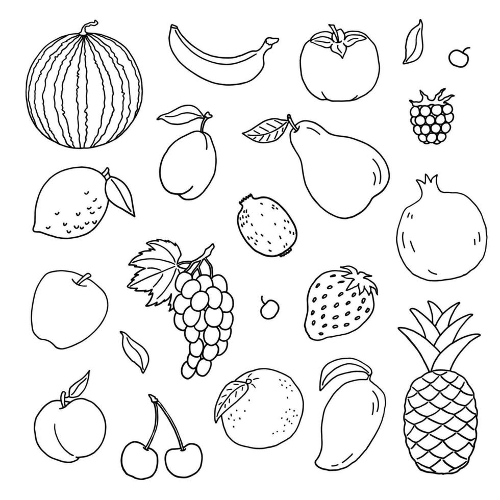 frukt klotter samling. uppsättning av färsk, friska, tropisk mat. hand dragen illustration. vektor