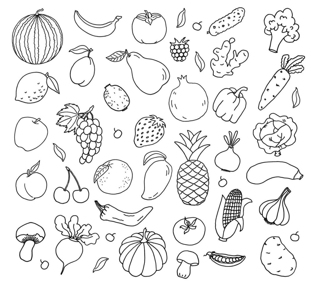 Gemüse und Früchte Gekritzel Sammlung. einstellen von frisch, gesund, vegan Lebensmittel. Hand gezeichnet Illustration. vektor