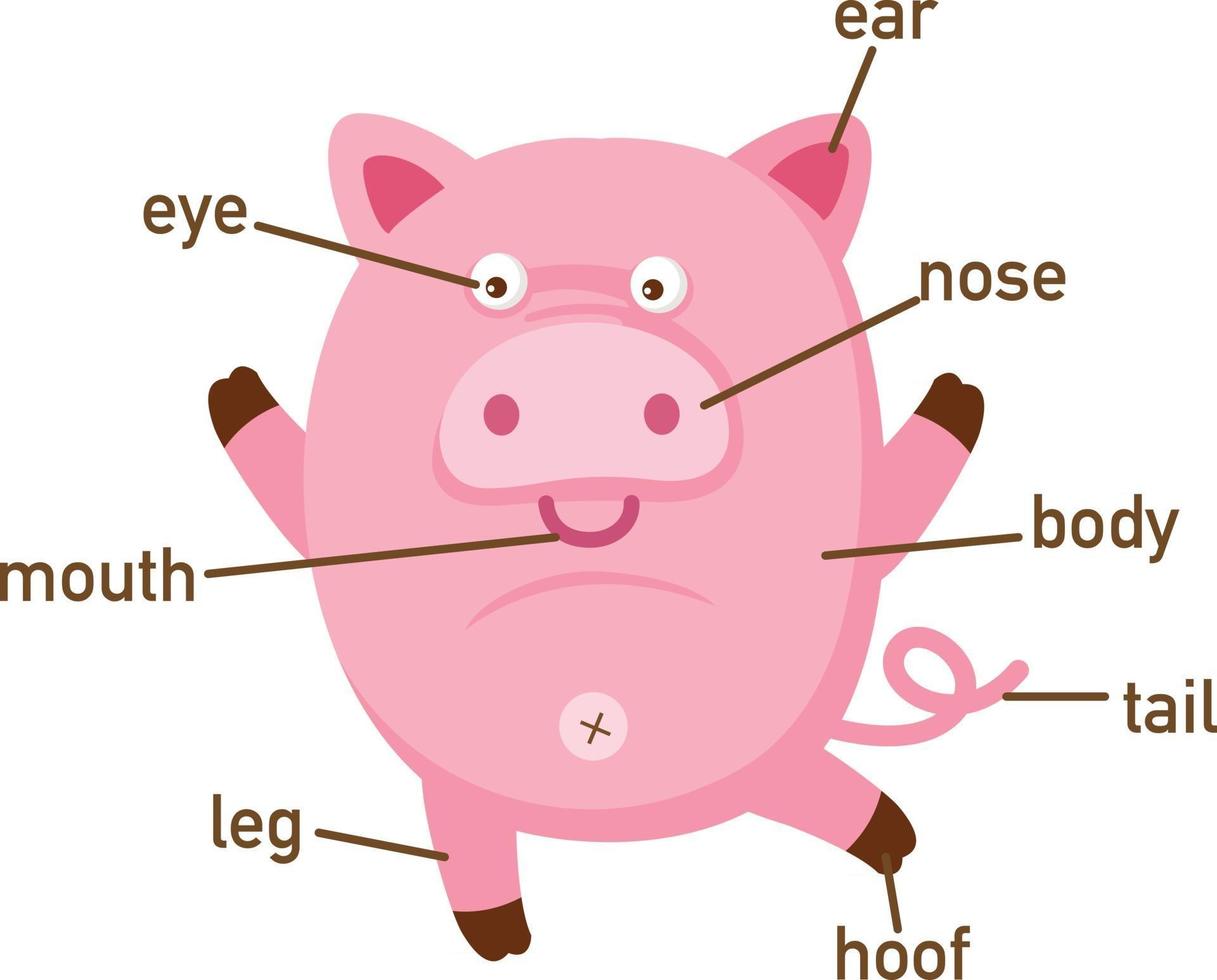 illustration av gris vokabulär del av kroppen. vektor