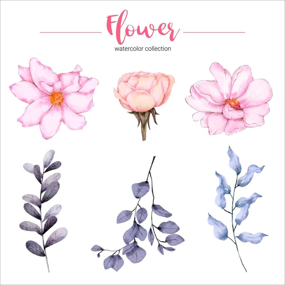 samling av akvarell illustration vacker blomma vektor