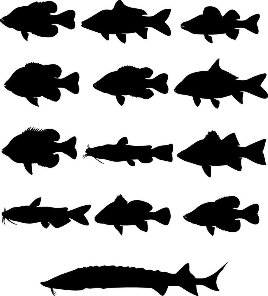 Meer Fisch Silhouette Vektor Kunst