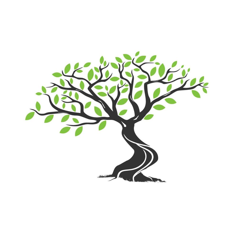enbär träd vektor illustration, miljö element, landskap design element