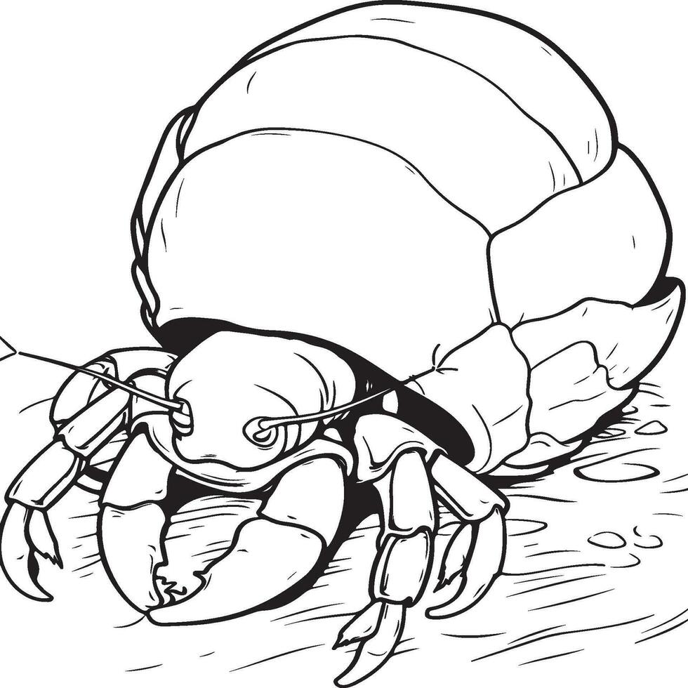 en söt eremit krabba kikar ut av dess skal vektor