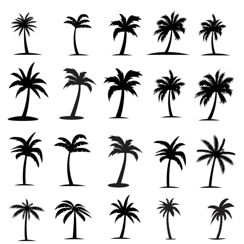 schwarz Palme Bäume sind einstellen isoliert auf ein Weiß Hintergrund. Palme Silhouetten. Design von Palme Bäume zum Poster, Banner, und Werbung Artikel. Vektor Illustration