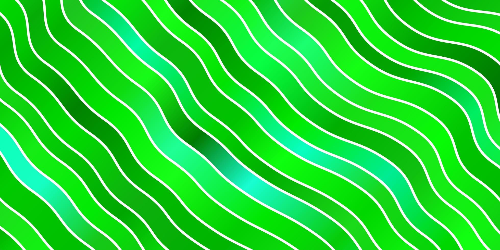 hellgrüner Vektorhintergrund mit gekrümmten Linien. vektor