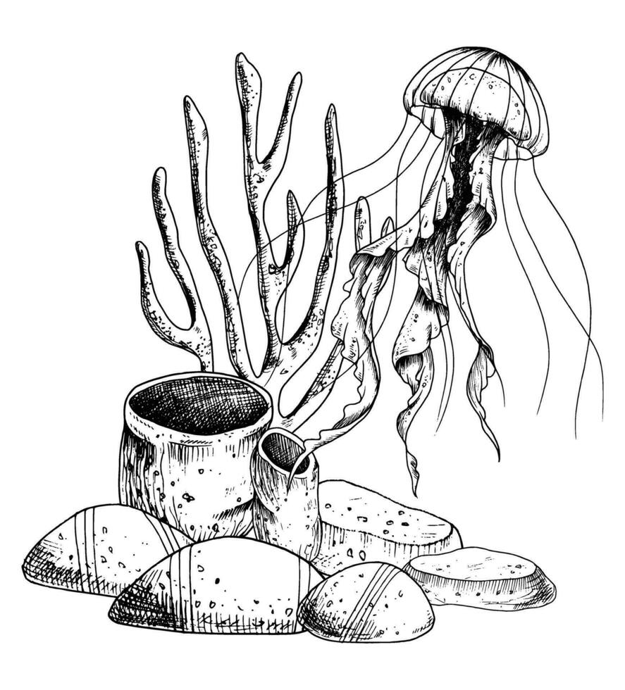 Qualle mit Koralle Riffe und Meeresboden auf isoliert Hintergrund. Hand gezeichnet Vektor Illustration von Gelee Fisch und Meer Fußboden zum Symbol oder Logo. unter Wasser Linie Kunst Zeichnung mit Meduse gemalt durch schwarz Tinte