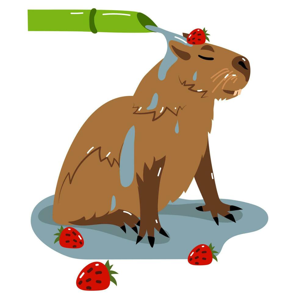 Capybara nimmt ein Bambus Regen Dusche mit Erdbeeren. Vektor isoliert eben Illustration auf ein Weiß Hintergrund. das Tier steht unter ein Strom von Wasser und genießt. Capybara wäscht