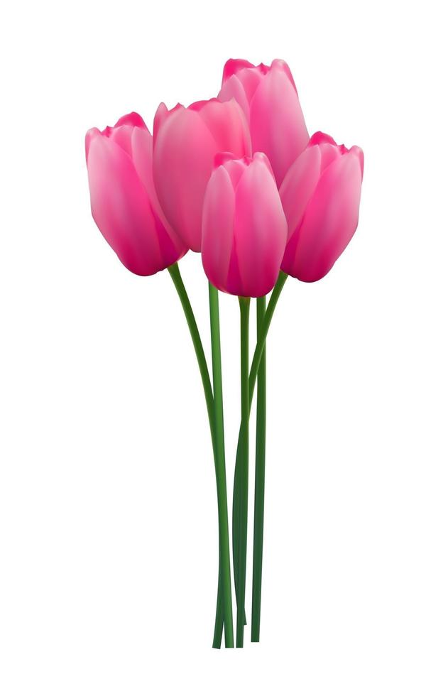 Blumenhintergrund mit Tulpenvektorillustration vektor