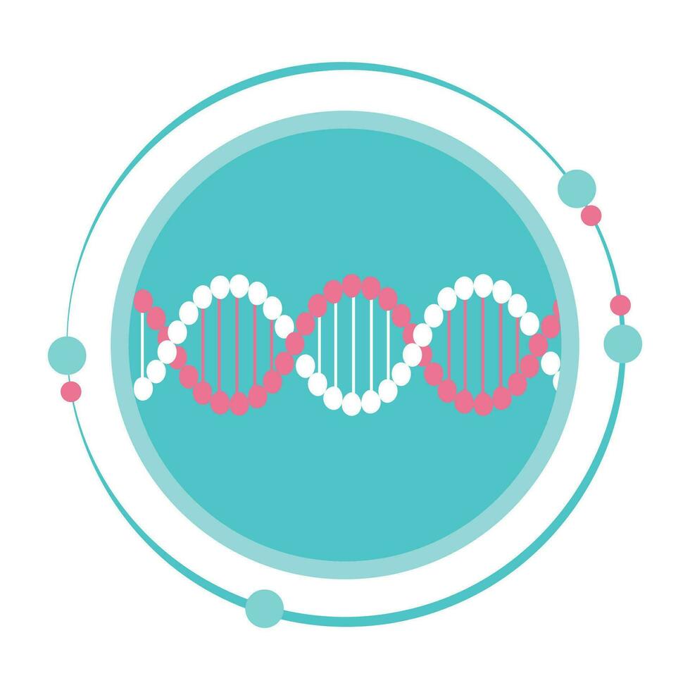 DNA doppelt Wendel Genetik Vektor Illustration Grafik Symbol