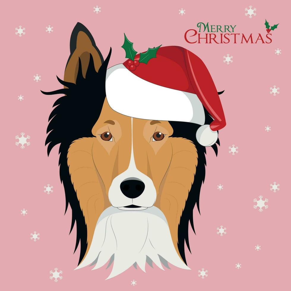 Weihnachten Gruß Karte. Collie Rau Hund mit rot Santa's Hut vektor