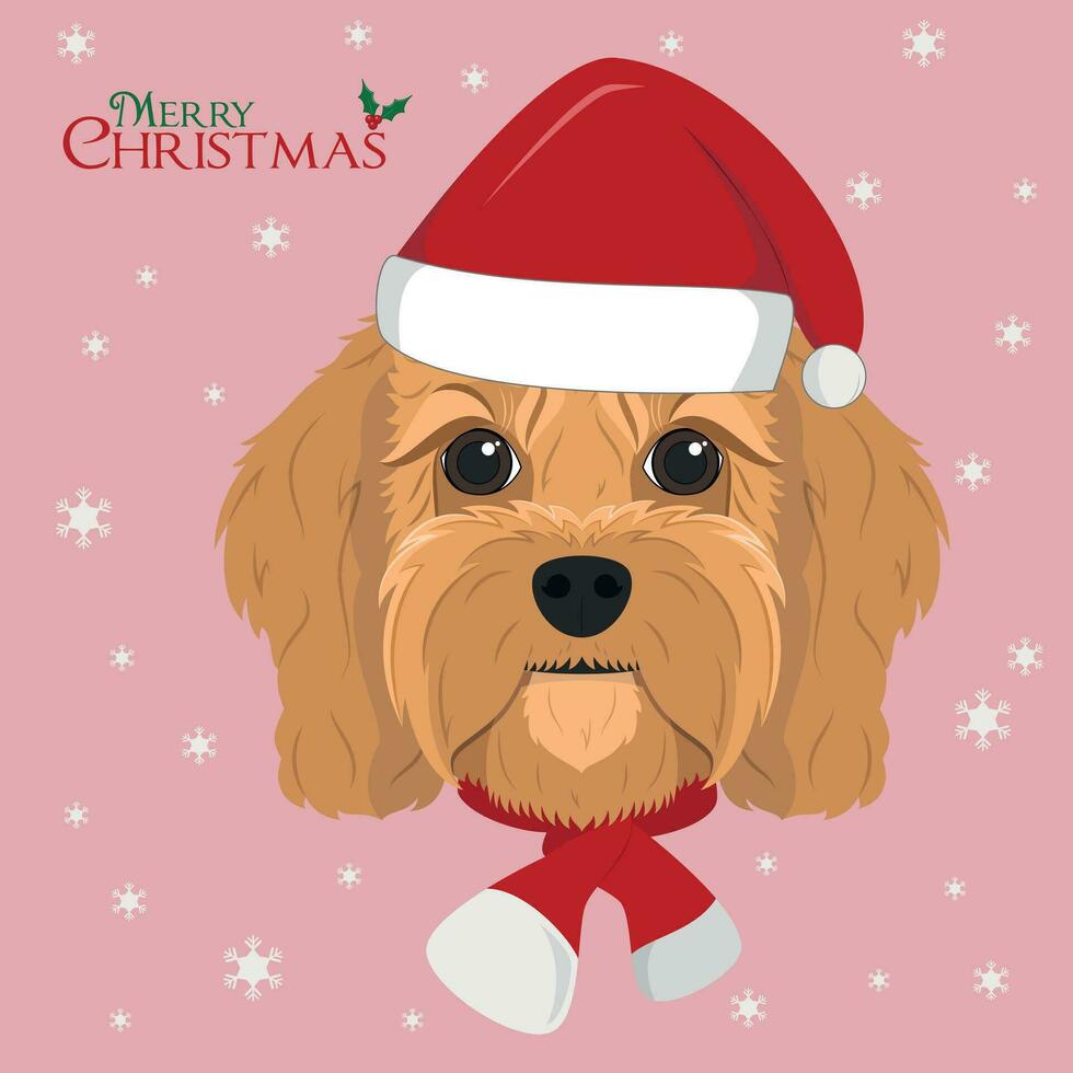 jul hälsning kort. cavoodle hund med röd santa hatt och en ull- scarf för vinter- vektor