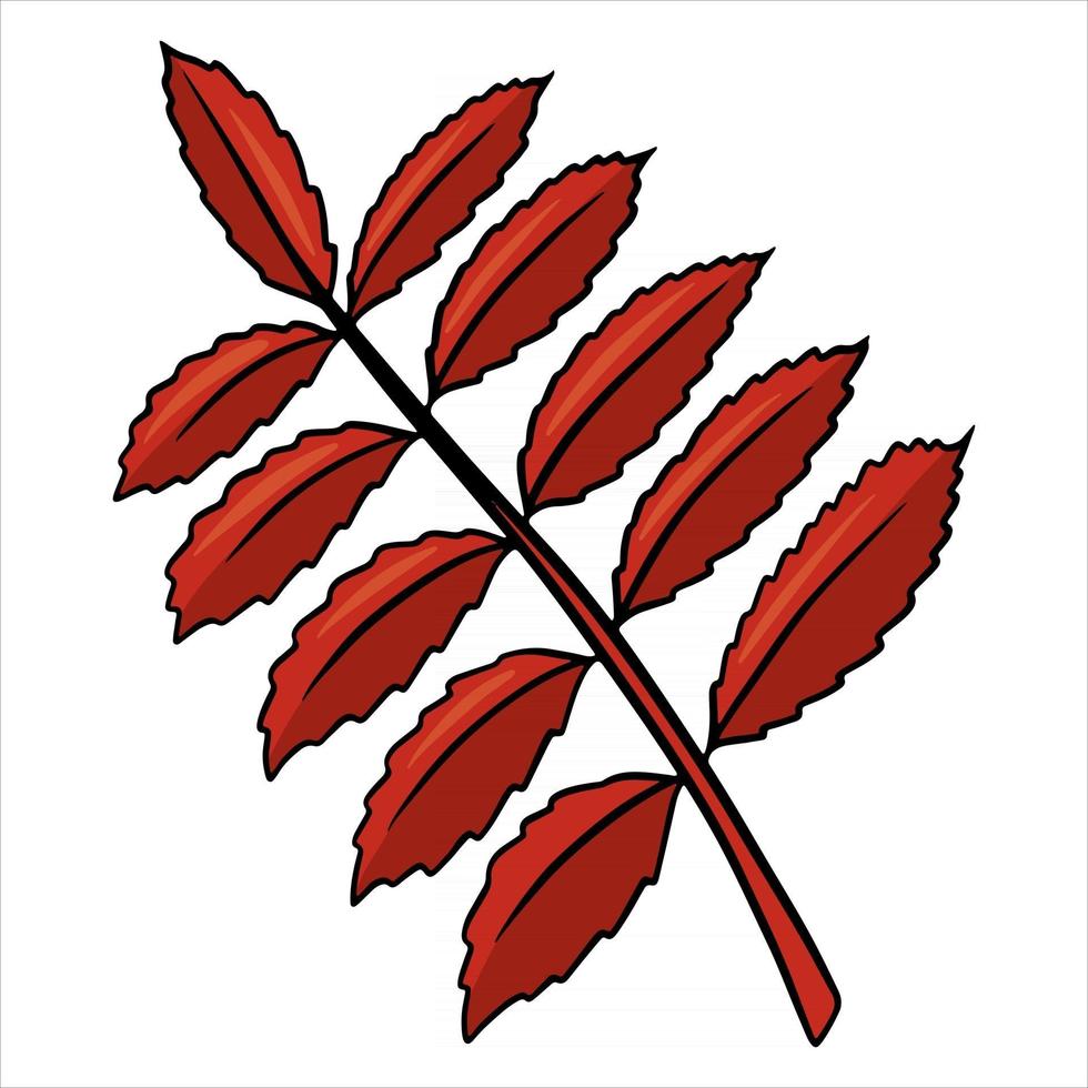snidade höstblad. natur ljusa löv av träd. tecknad stil. vektor