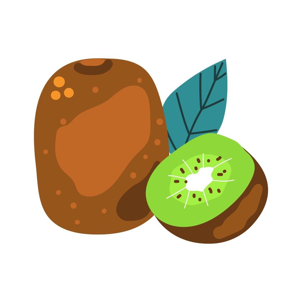 handritad kiwifrukt. platt illustration. vektor