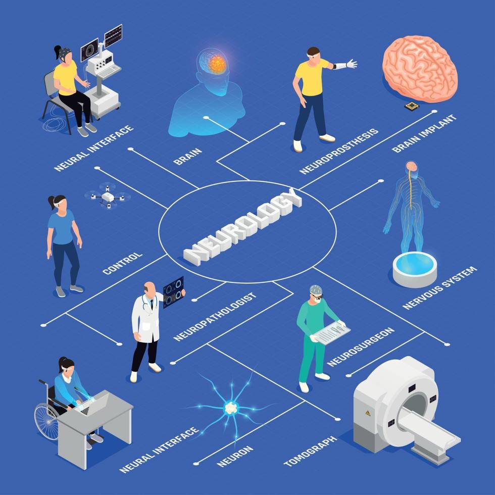 neurologi isometrisk flödesschema vektorillustration vektor