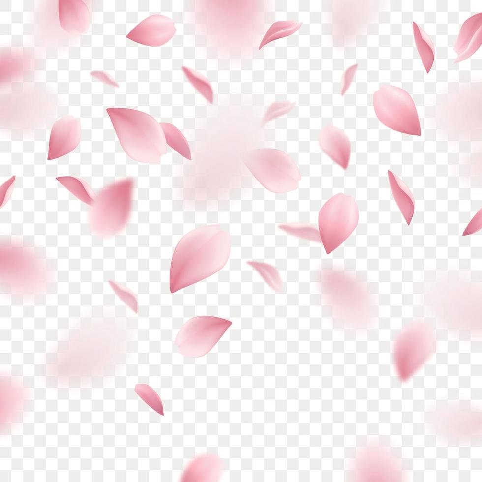 Sakura realistische Hintergrundvektorillustration vector