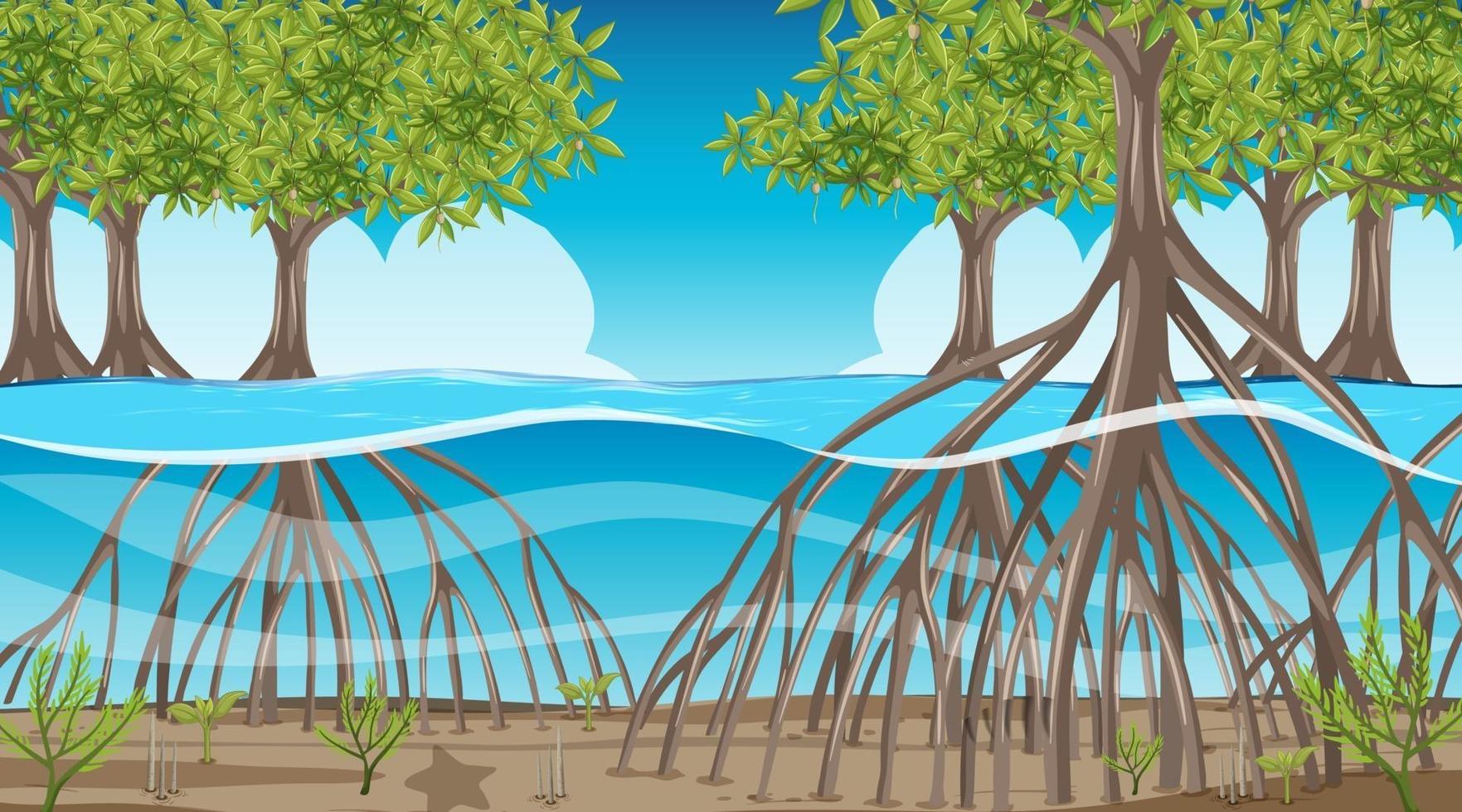 Naturszene mit Mangrovenwald tagsüber im Cartoon-Stil vektor