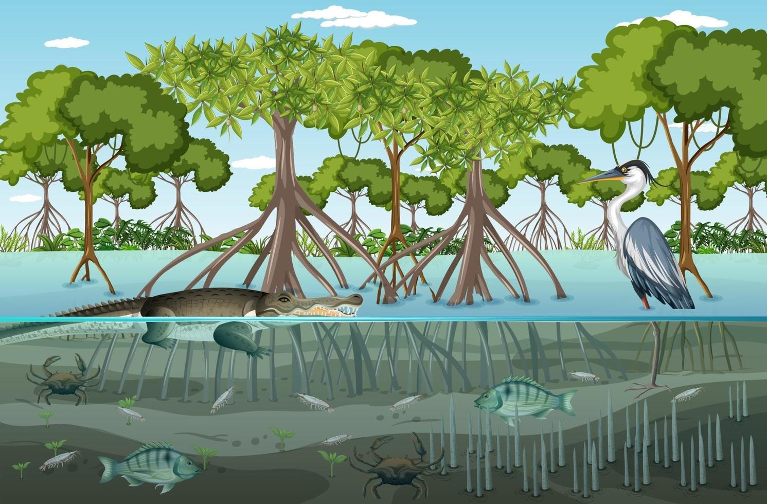 mangroveskogslandskapsscen på dagtid med många olika djur vektor