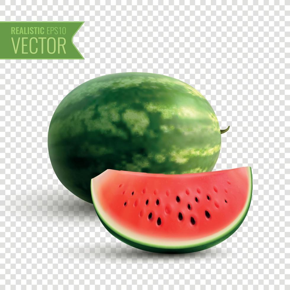 Wassermelone realistische Designkonzept-Vektorillustration vektor