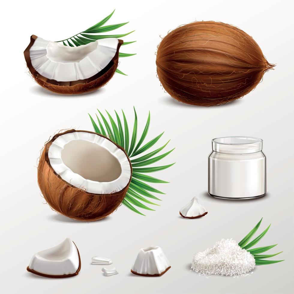 kokosnöt realistisk uppsättning vektorillustration vektor