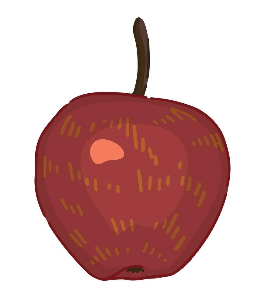 ClipArt av äpple frukt. klotter av höst trädgård skörda. tecknad serie vektor illustration isolerat på vit bakgrund.