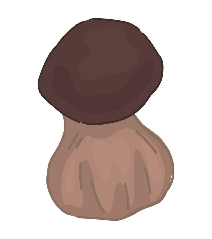 ClipArt av ätlig svamp boletus. klotter av höst skog skörda. tecknad serie vektor illustration isolerat på vit bakgrund.